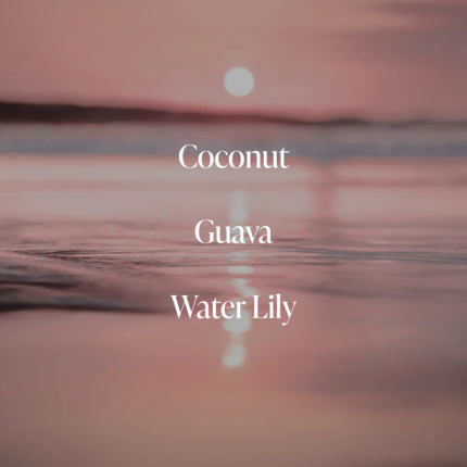 Descubre productos de belleza, cuidado personal, wellness y hogar en Daily Needs Co. Todo para hacer cada día algo bueno.