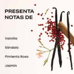 Descubre productos de belleza, cuidado personal, wellness y hogar en Daily Needs Co. Todo para hacer cada día algo bueno.