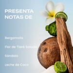 Descubre productos de belleza, cuidado personal, wellness y hogar en Daily Needs Co. Todo para hacer cada día algo bueno.